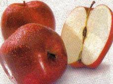 imagen_Manzanas-_Como_elegir_y_conservarlas.jpg