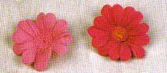 imagen_flores_de_azucar_margaritas2.jpg